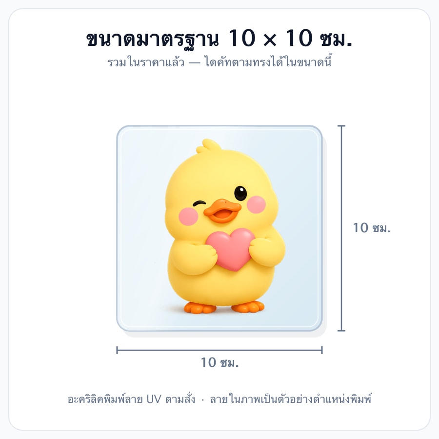 10×10 ซม. (มาตรฐาน)