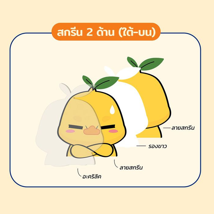 2 ด้าน (ใต้-บน)