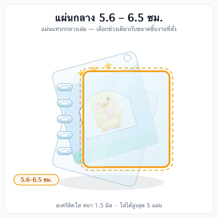 ขนาด 5.6-6.5 cm