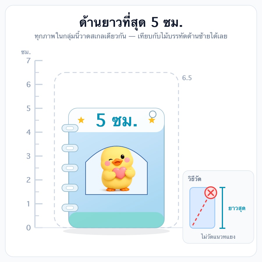 5 cm