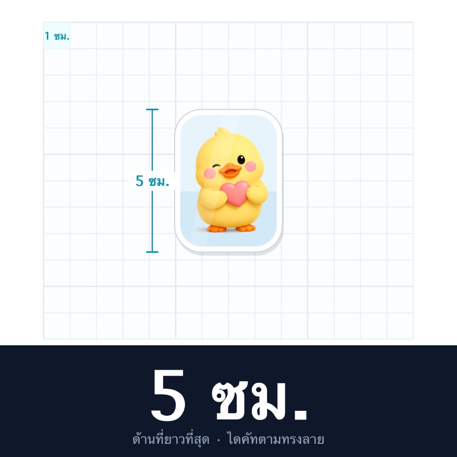 5cm