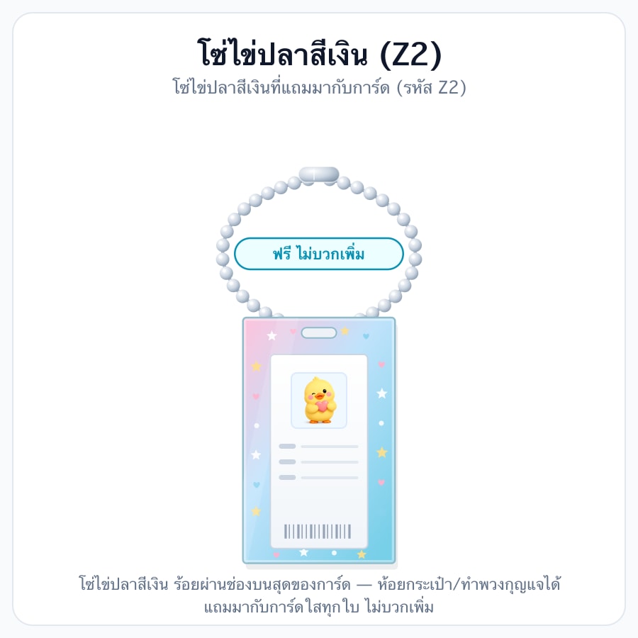 โซ่ไข่ปลาสีเงิน (Z2)