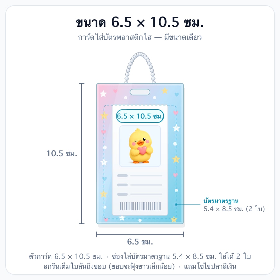 6.5 × 10.5 ซม.