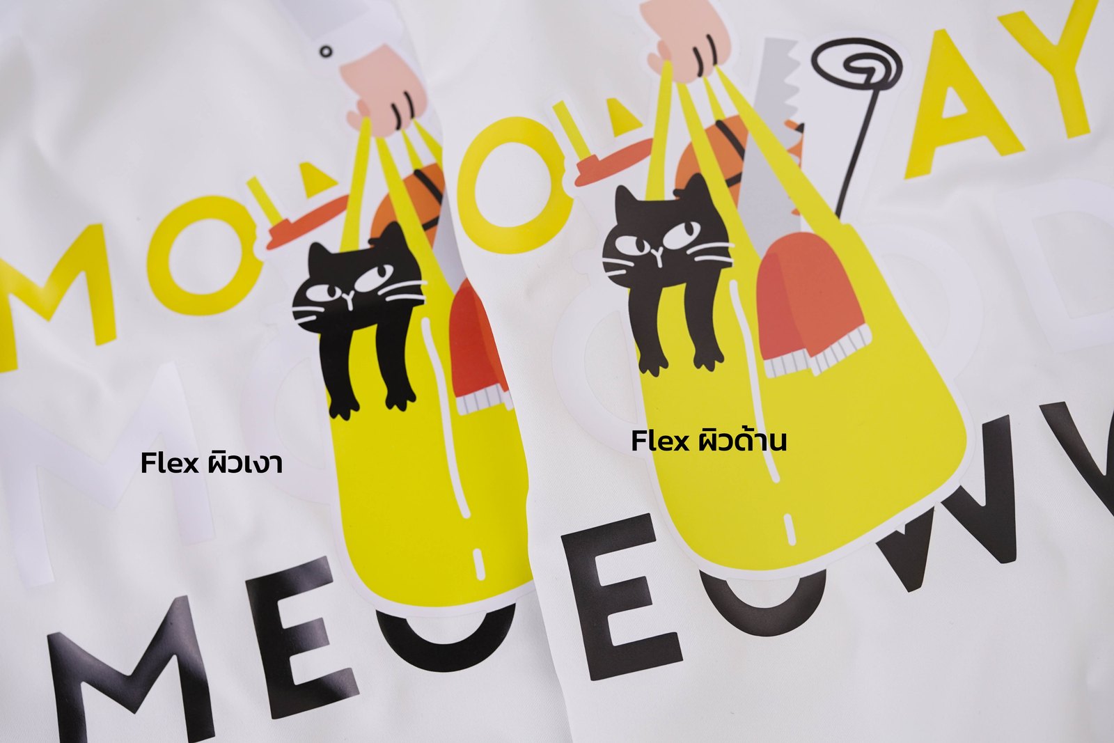 พิมพ์ FLEX