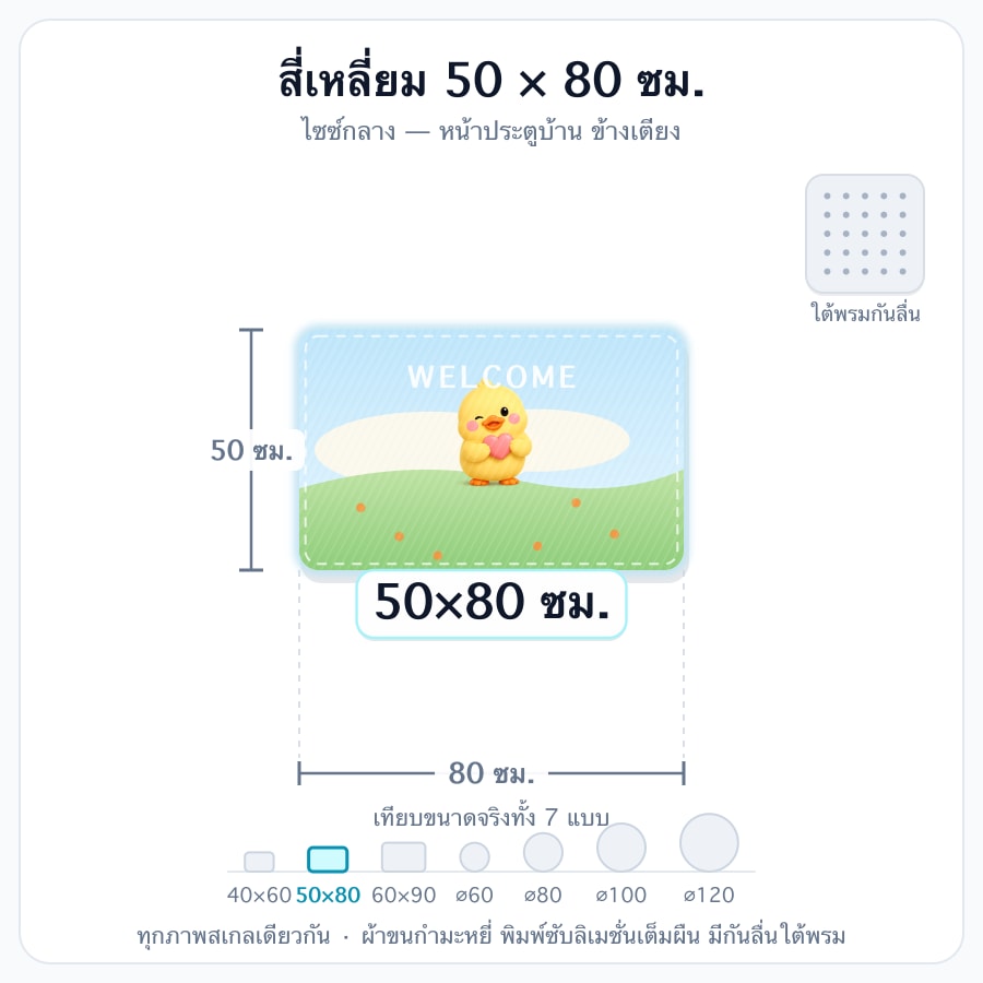 50x80cm