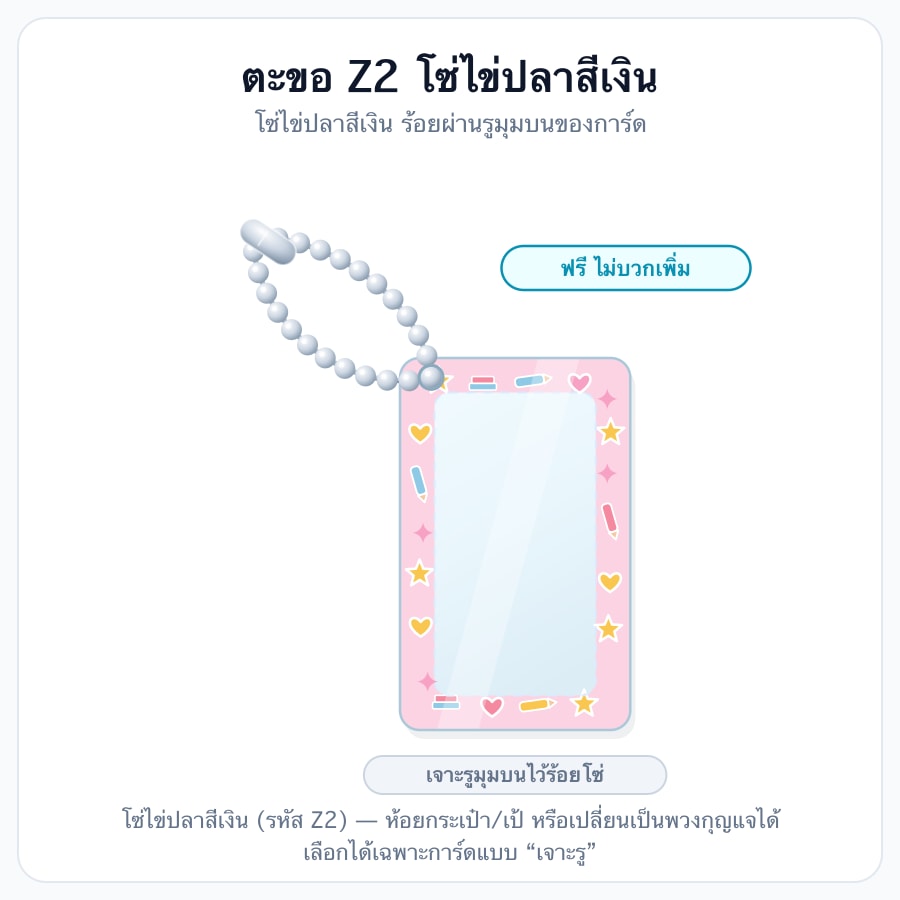 ตะขอ Z2 โซ่ไข่ปลาสีเงิน