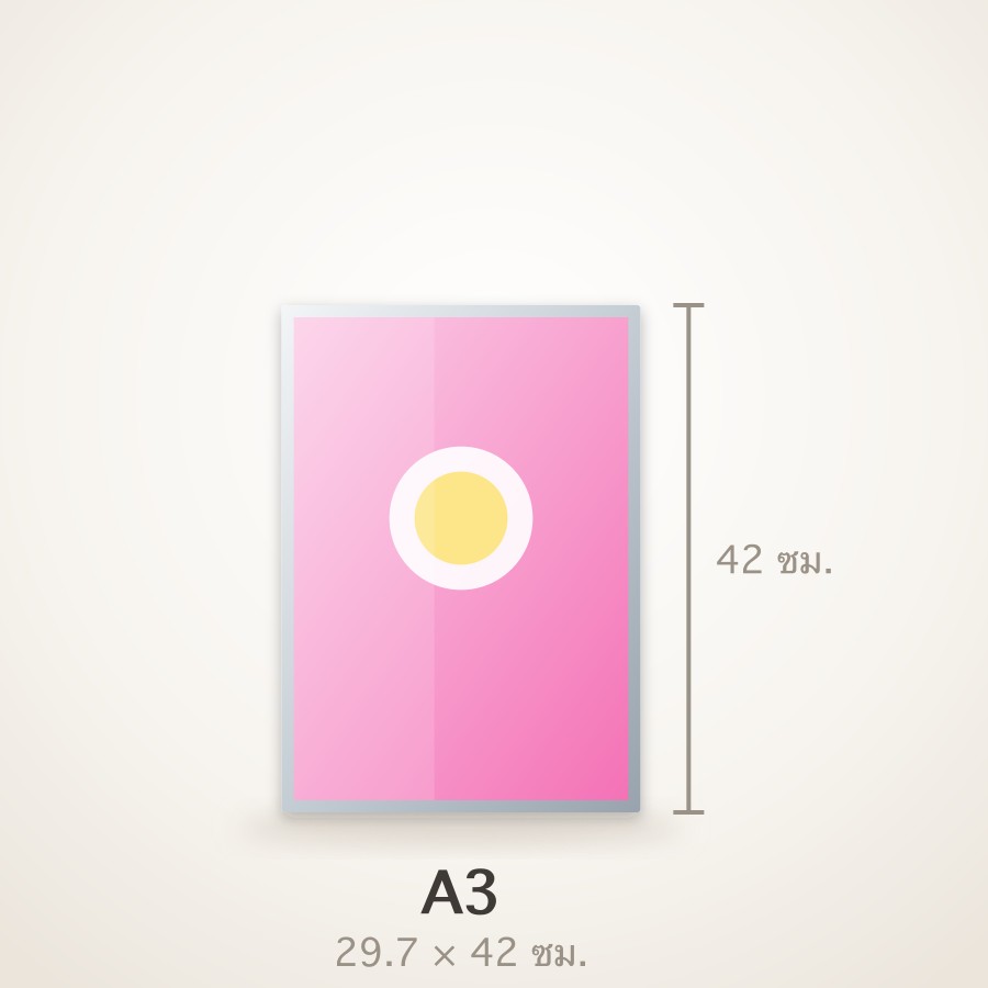 A3