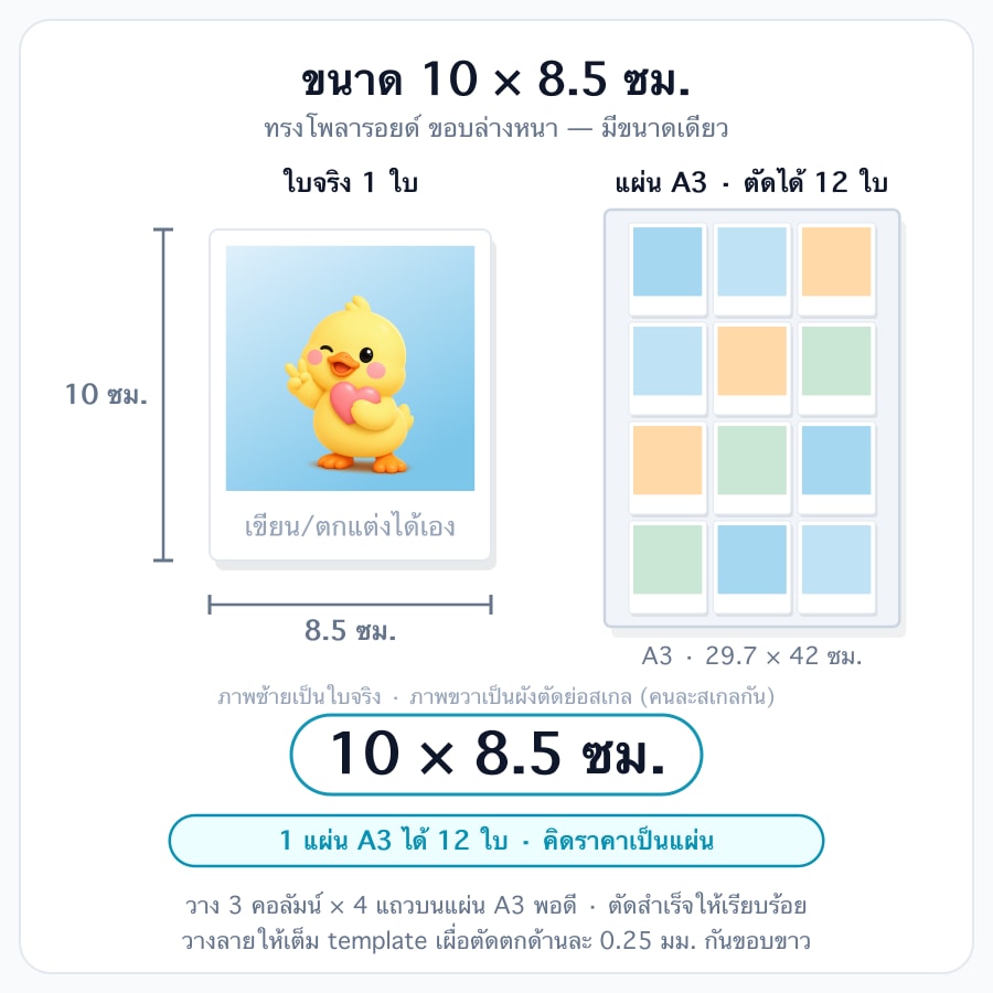 10 × 8.5 ซม.