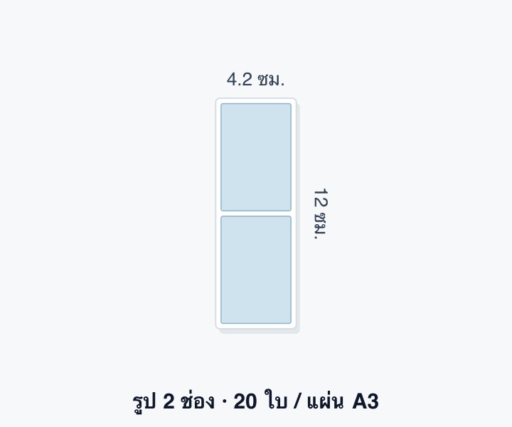 4.2 × 12 ซม.