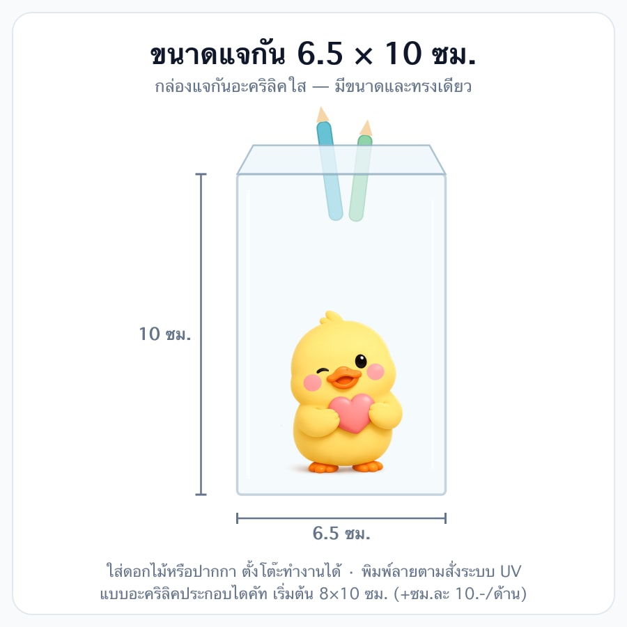 6.5×10 ซม.