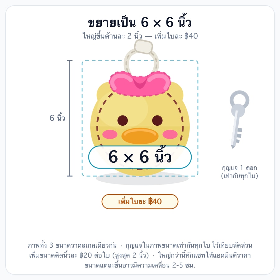 6 × 6 นิ้ว