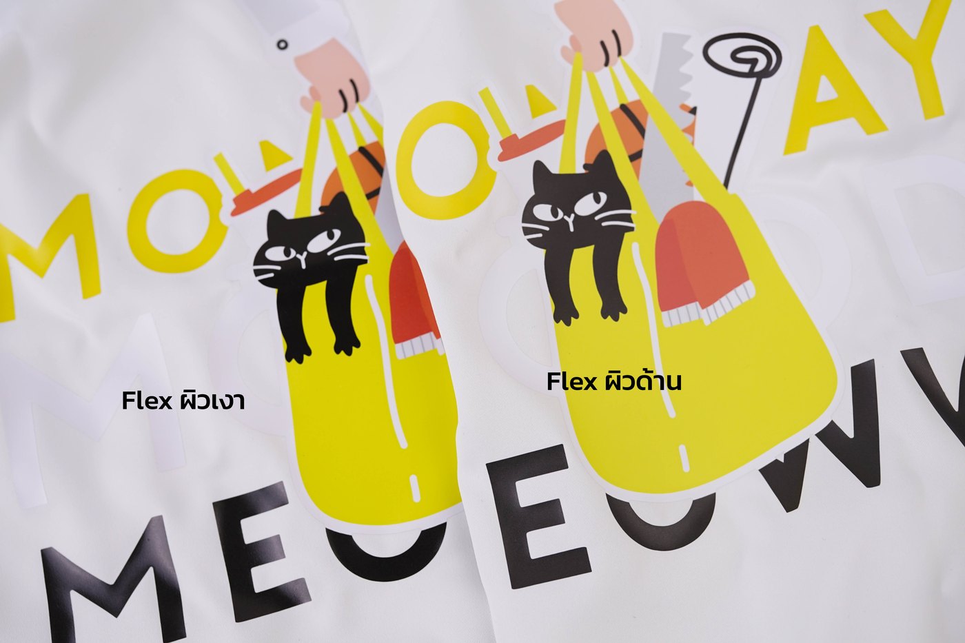 พิมพ์ FLEX