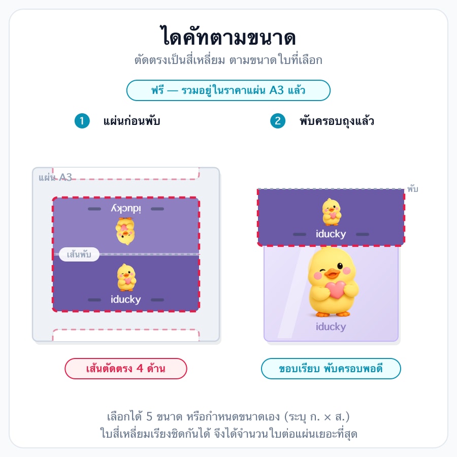 ไดคัทตามขนาด (ฟรี)