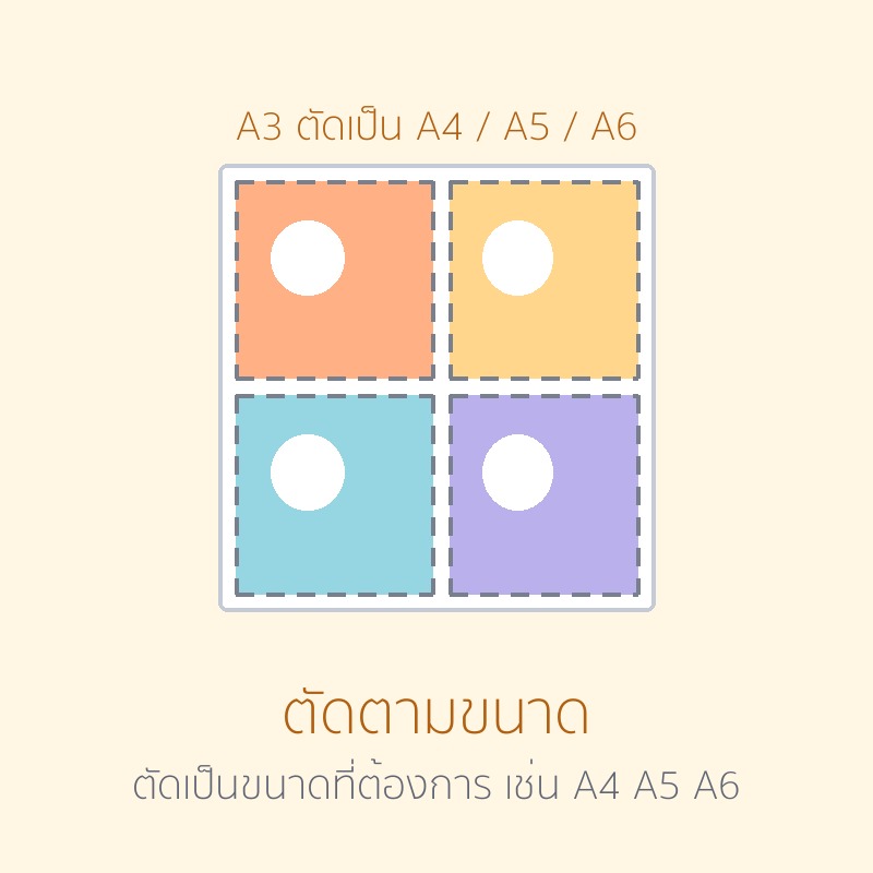 ตัดตามขนาด