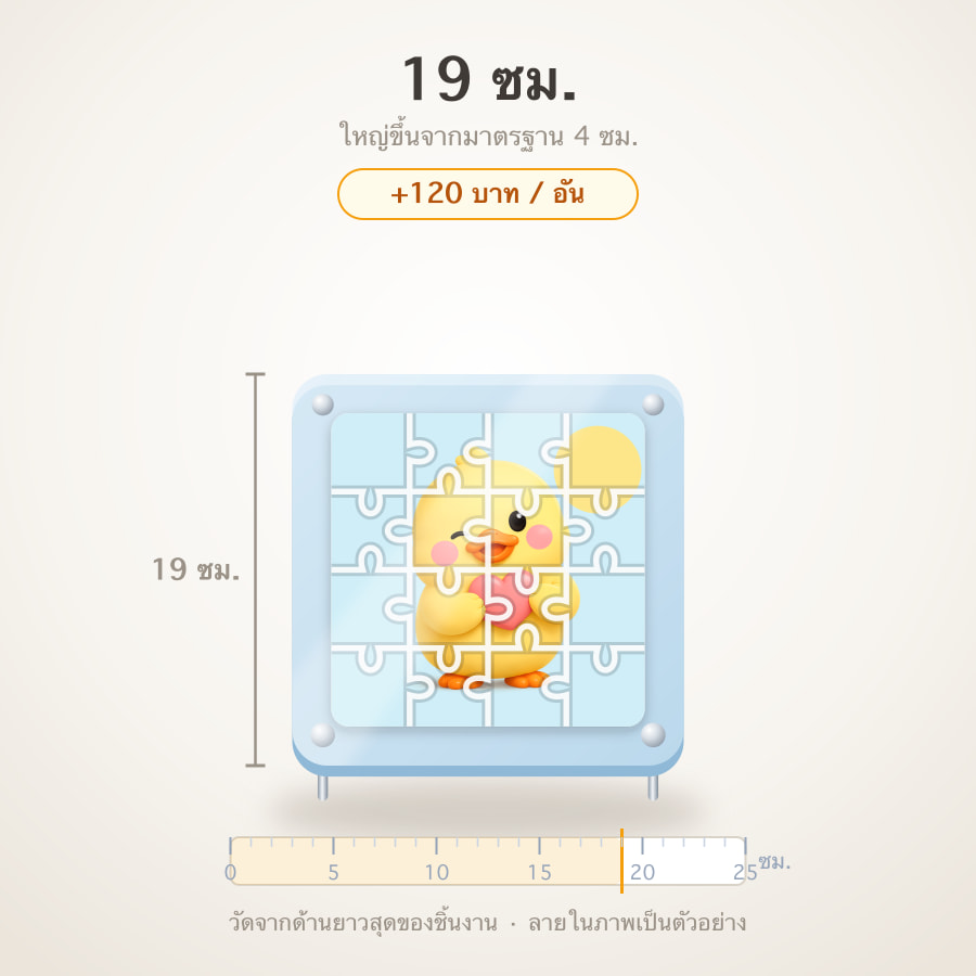 19 ซม.