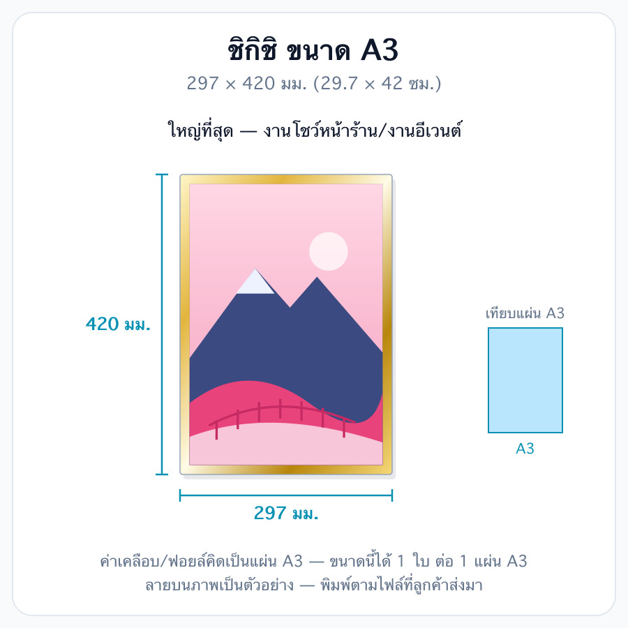 A3