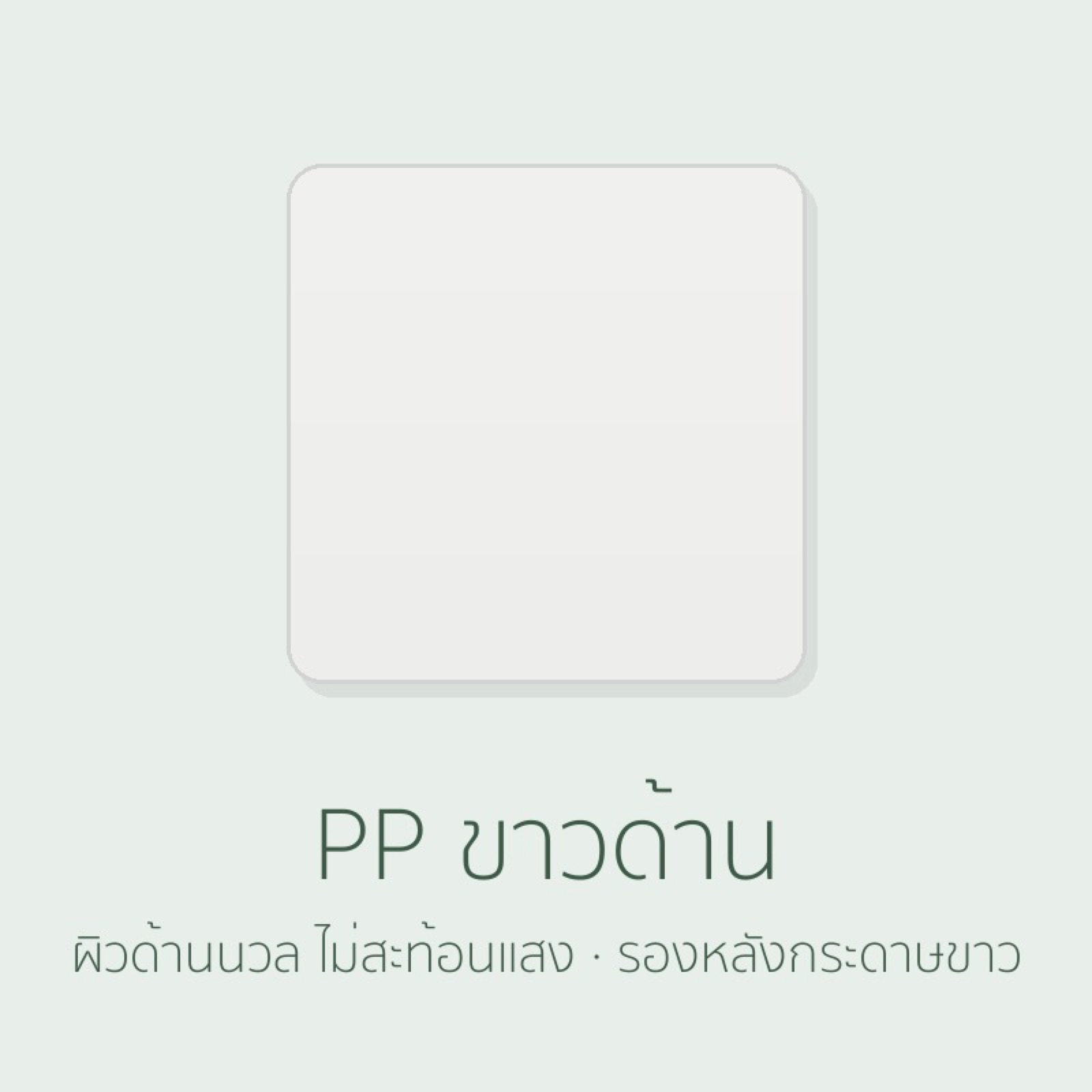 PP ขาวด้าน