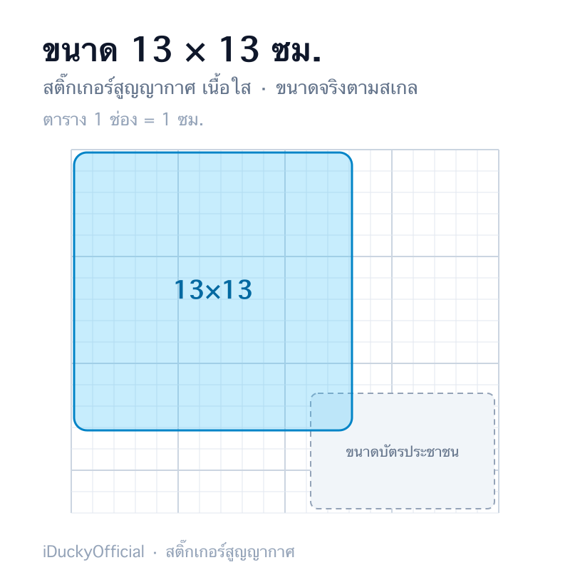 13×13 ซม.