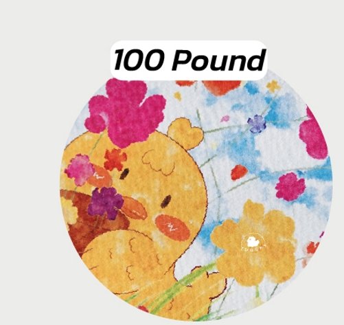 100 Pound Paper (หนา 300gsm)