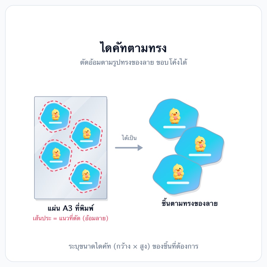 ไดคัทตามทรง