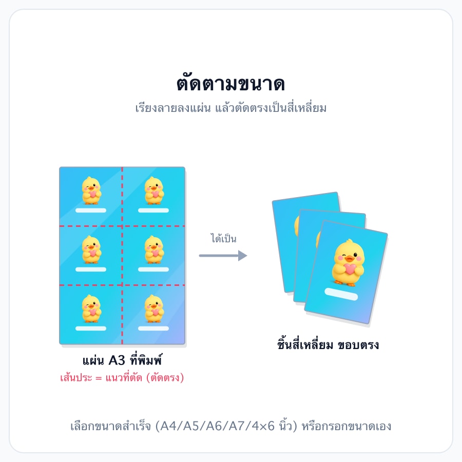 ตัดตามขนาด